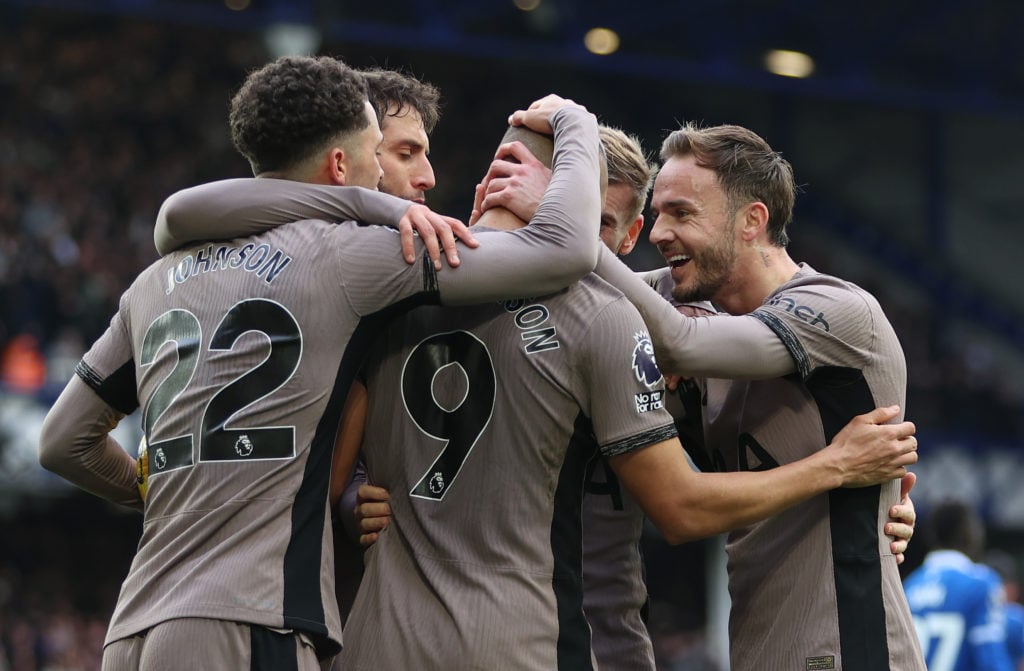 Everton FC v Tottenham Hotspur - Premier League