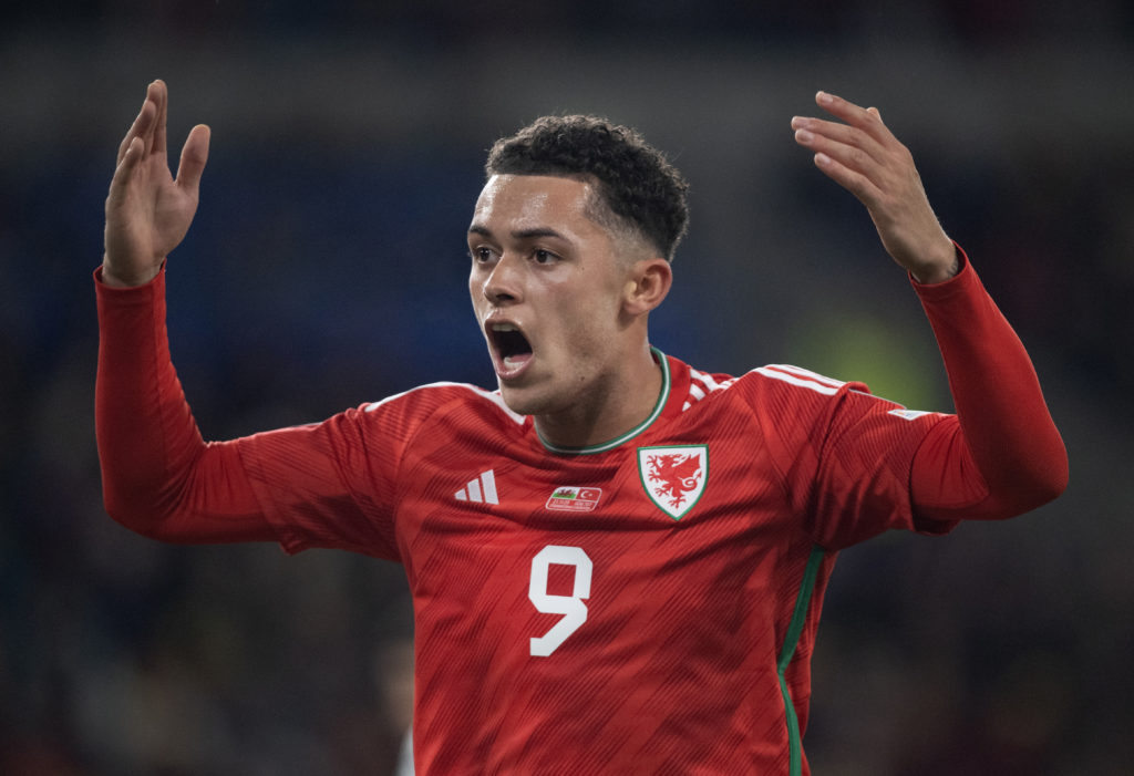 Wales v Turkey: Group D - UEFA EURO 2024 European Qualifiers