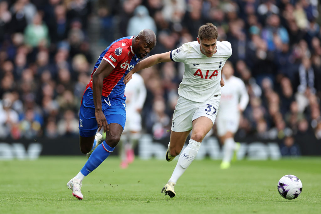Tottenham Hotspur v Crystal Palace - Premier League