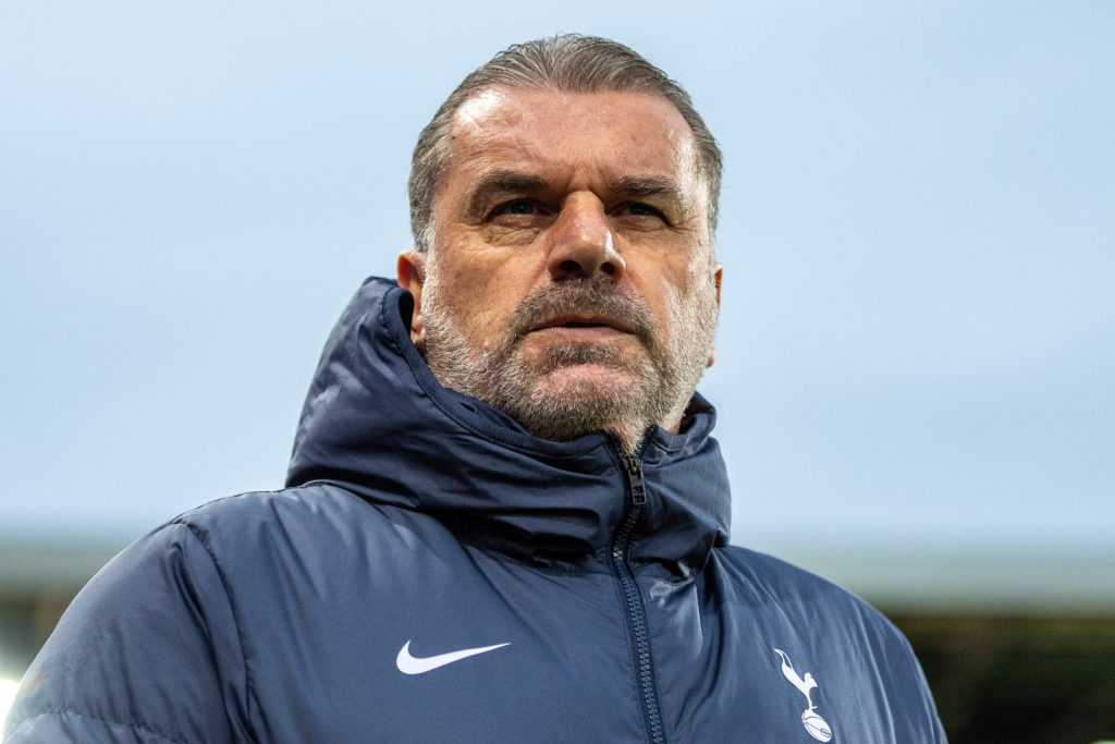 Fulham FC v Tottenham Hotspur - Premier League