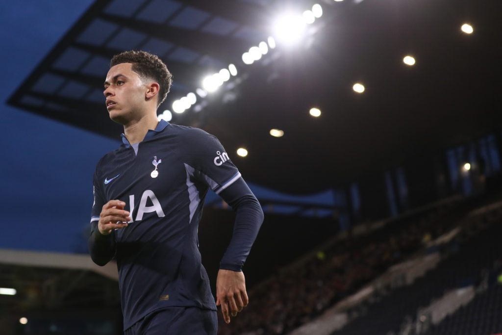Fulham FC v Tottenham Hotspur - Premier League