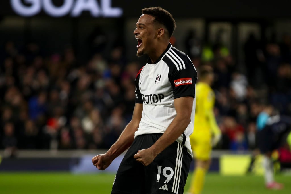 Fulham FC v Tottenham Hotspur - Premier League