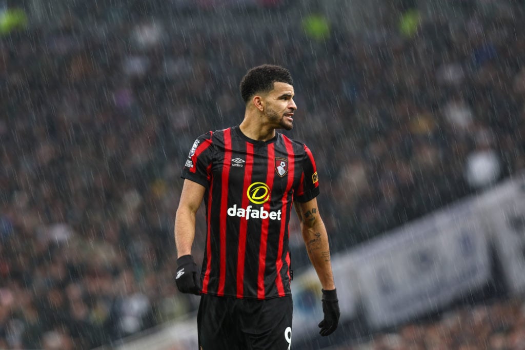 Tottenham Hotspur v AFC Bournemouth - Premier League