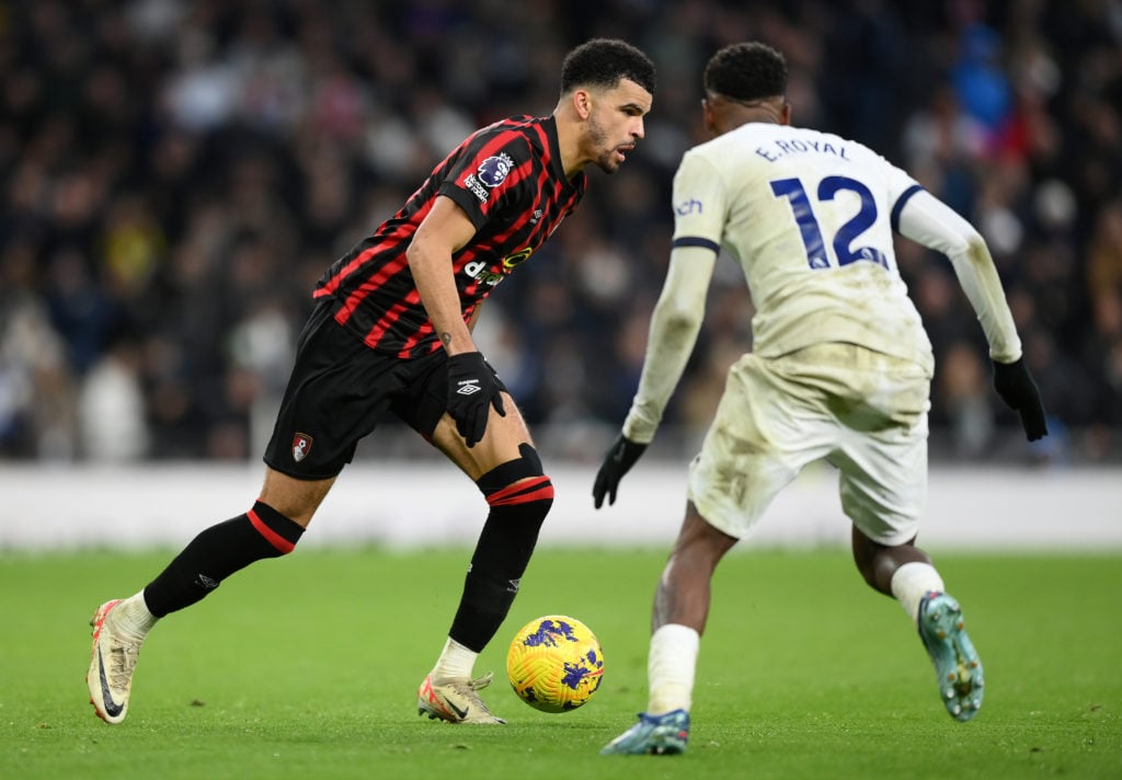 Tottenham Hotspur v AFC Bournemouth - Premier League