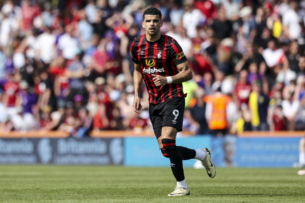 AFC Bournemouth v Brentford FC - Premier League