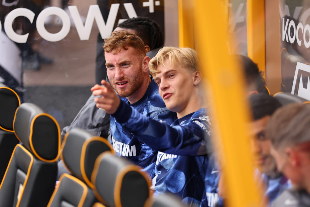 Wolverhampton Wanderers FC v Tottenham Hotspur FC - Premier League